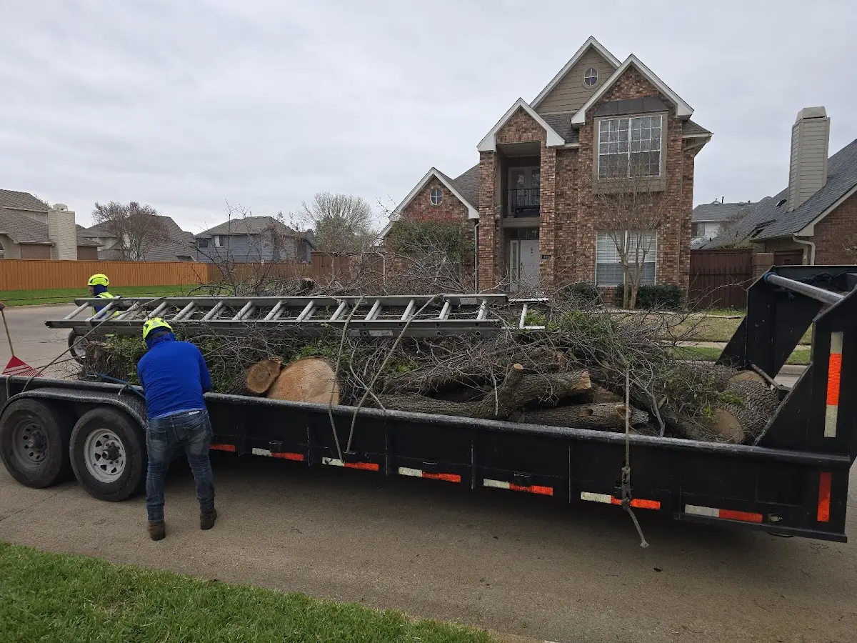 Expert Tree Fertilization with proper safety equipment in Cedarville